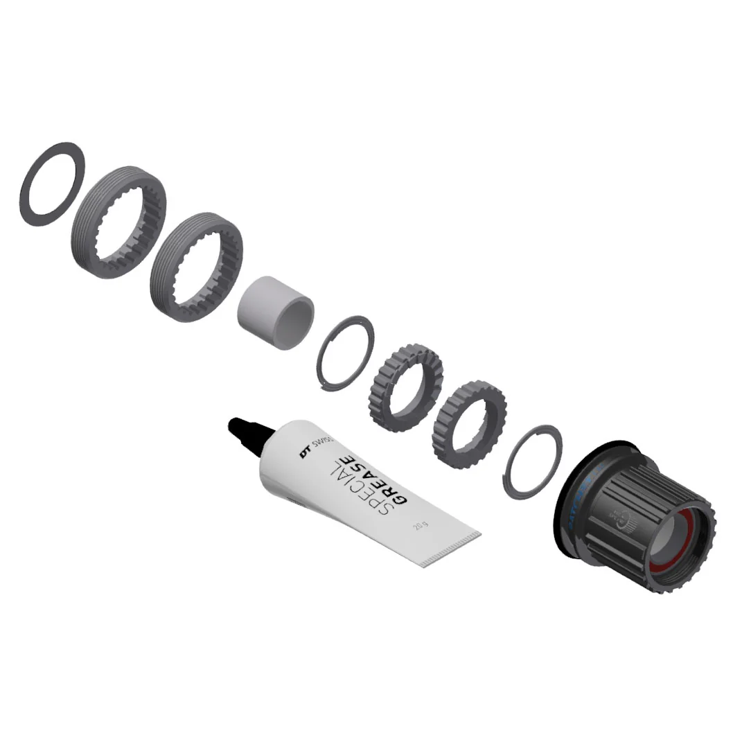 Dt swiss Shimano Microspline Ratchet Conversion Kit SHI 12s Micro 18t Steel Blk