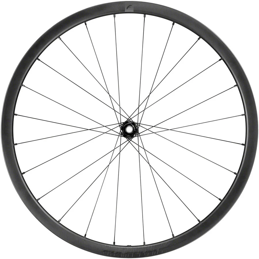 Fulcrum Rapid Red Carbon Front Wheel - 700c 12 x 100mm Center-Lock Disc BLK