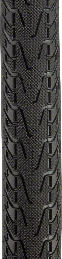 Panaracer Pasela ProTite Tires - Image 6